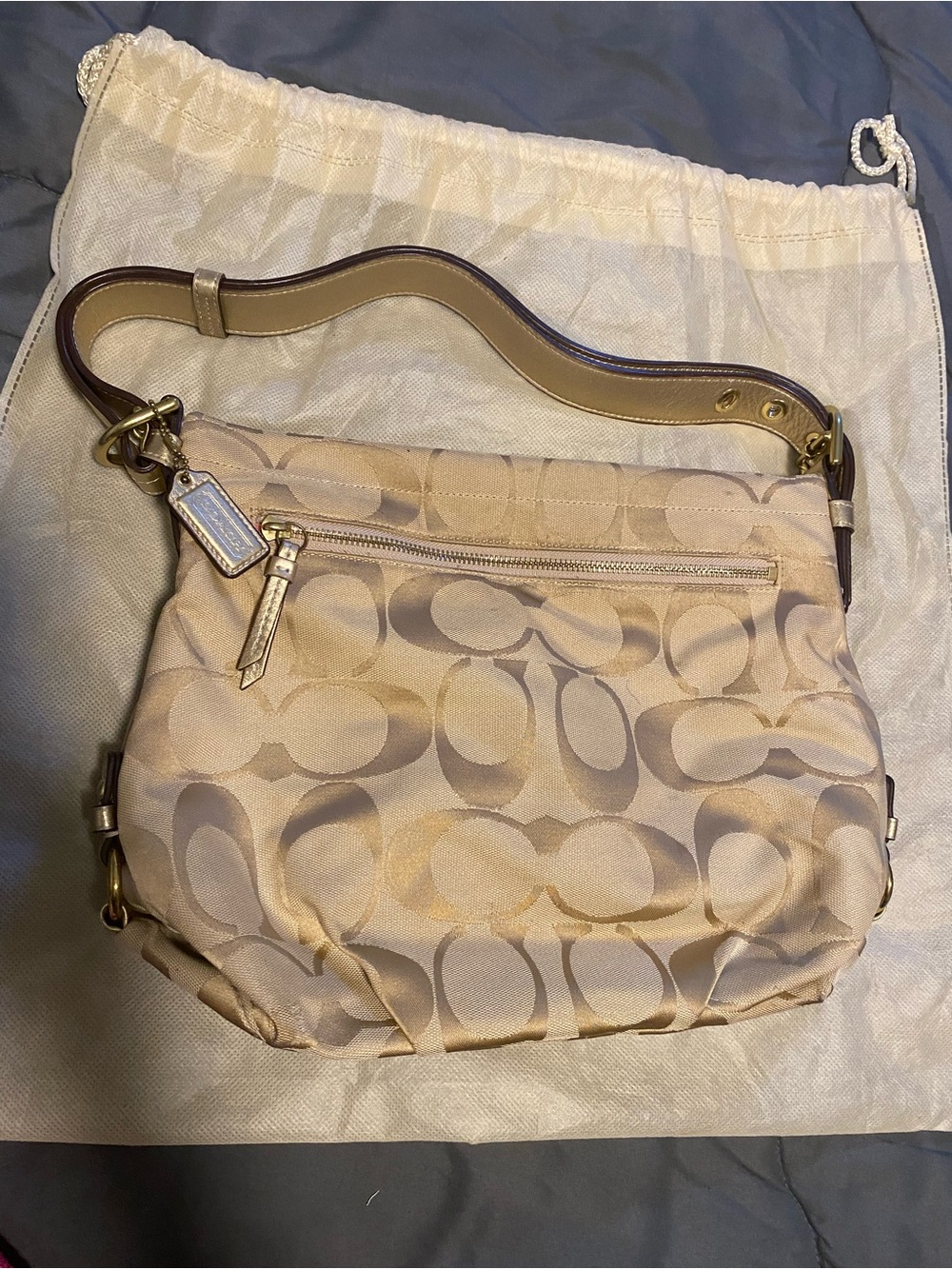 Coach Signature Hobo Bag in Khaki and Chalk